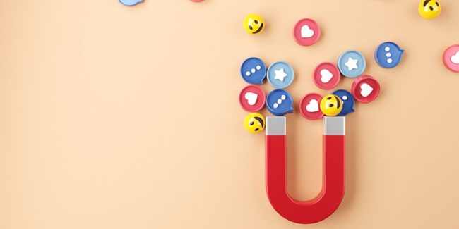 5 Simple Ways to Grow Your List Organically | LMS Solutions Inc
