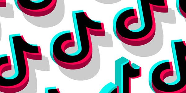 A Guide to TikTok Marketing for Small Businesses | LMS Solutions Inc