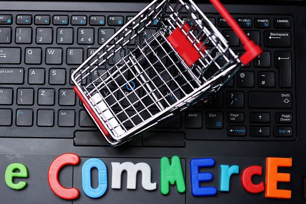 E-commerce Survival Guide for Local Businesses E-commerce Survival Guide for Local Businesses | LMS Solutions Inc