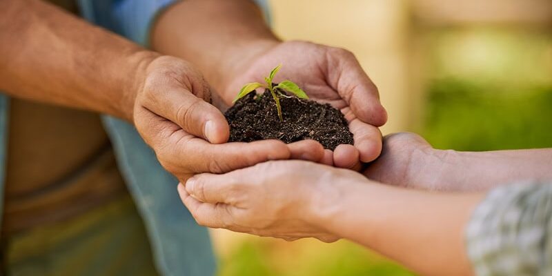 How to Partner with Non-Profits for a Win-Win How to Partner with Non-Profits for a Win-Win | LMS Solutions Inc