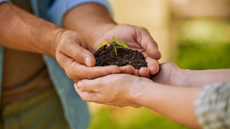 How to Partner with Non-Profits for a Win-Win | LMS Solutions Inc