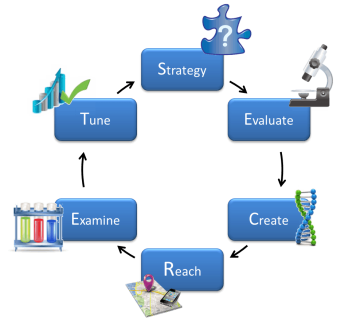 PPC Approach Blue Bell | LMS Solutions Inc