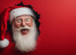 Starting to Plan for the Upcoming Holiday Season | LMS Solutions Inc