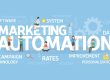 The Art of Personalization - Harnessing Automation for Tailored Customer Experiences | LMS Solutions