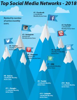 Top Social Media Networks Infographic | LMS Solutions