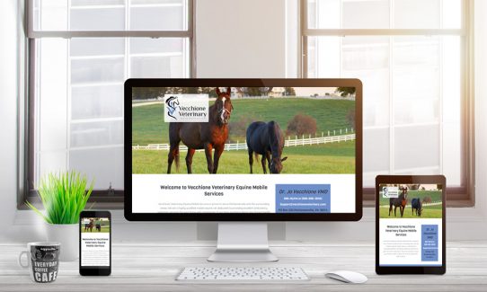 Vecchione Veterinary Website Design | LMS Solutions