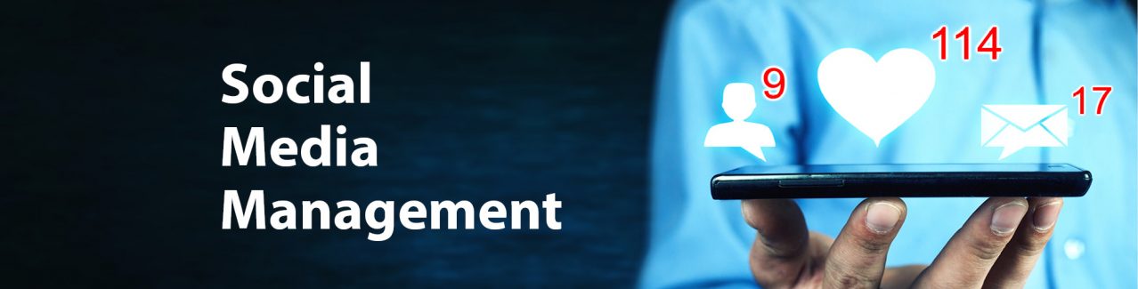 social media management | LMS Solutions